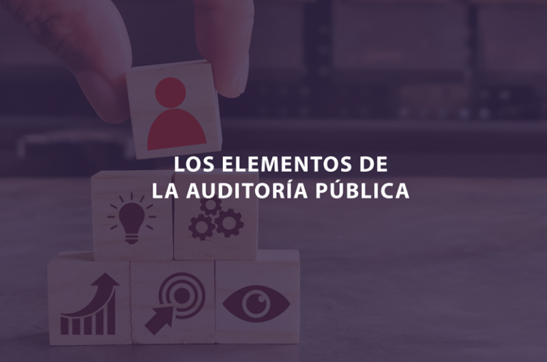 Los Elementos De La Auditoría Pública Grupo De Auditores Publicos